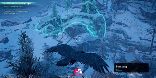 Corbeau montagne