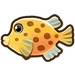 Boxfish