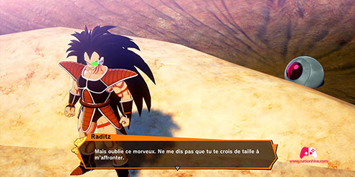 Raditz