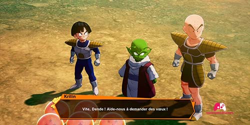 Dende appel le dragon