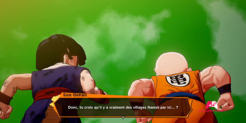 Son Gohan et Krilin