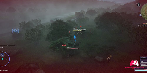 Combat avec les grenouilles