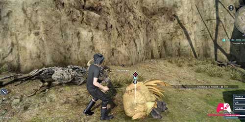 Sauvetage du chocobo