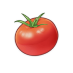 Tomate