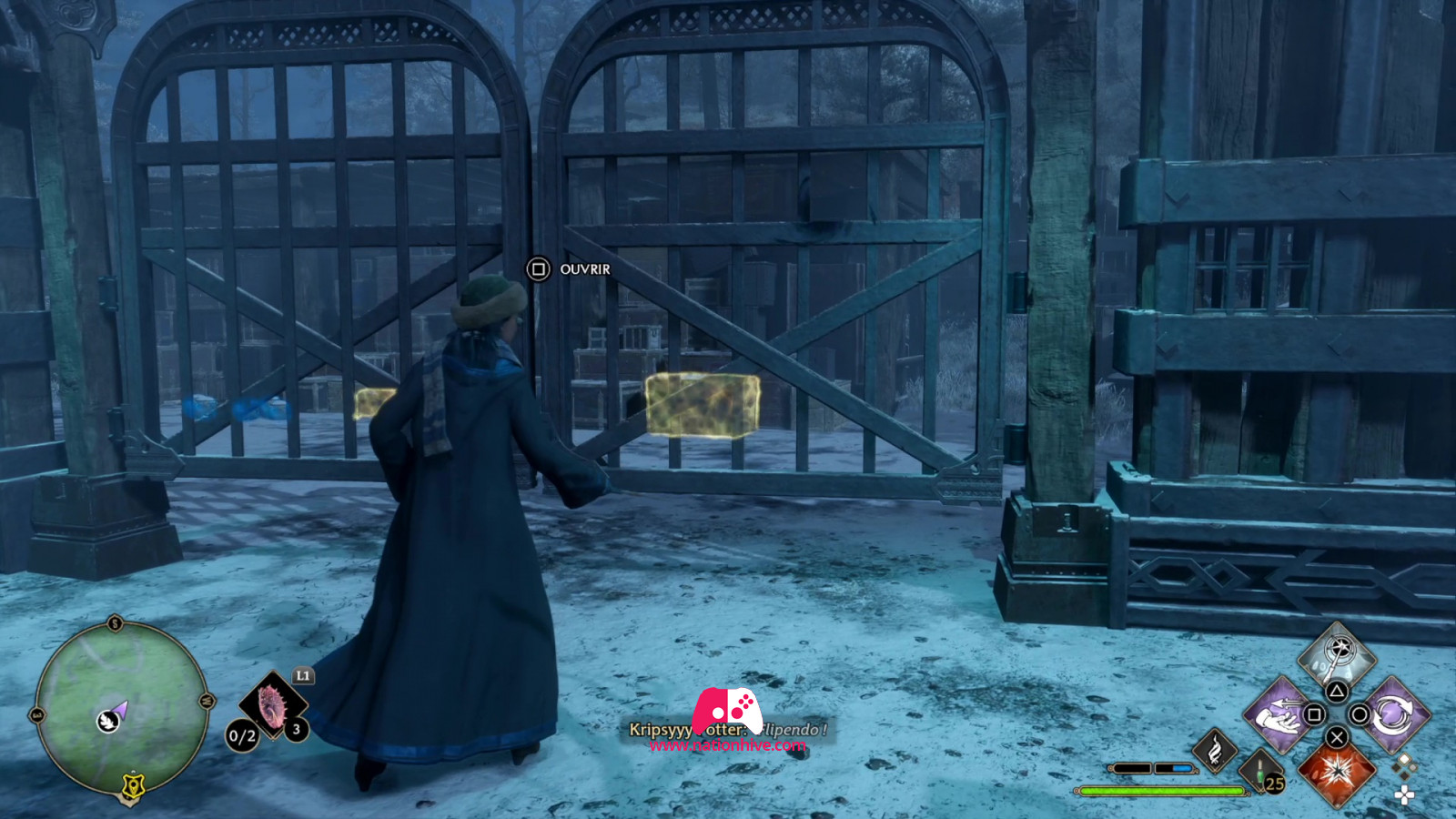 Hogwarts Legacy L
