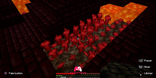 Emplacement des verrues du Nether