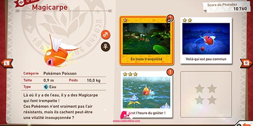 Fiche de Magicarpe