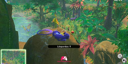 Léopardus dans la Jungle