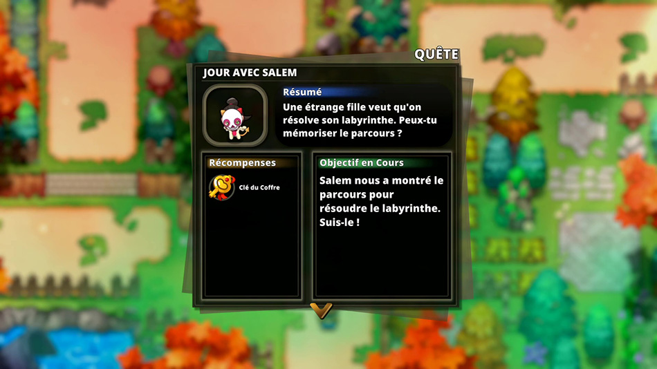 Soluce de la quête secondaire 511 - Jour avec salem