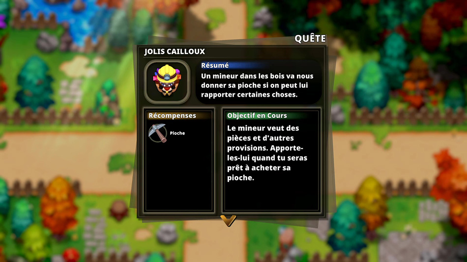 Soluce de la quête #504 - Jolis cailloux