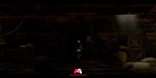 Entrée dans le noir