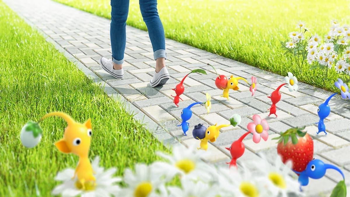 Pikmin Bloom Friend Codes