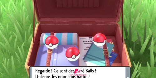 Valise avec les Pokéballs