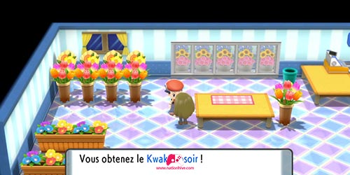 Obtenir le Kwakarrosoir