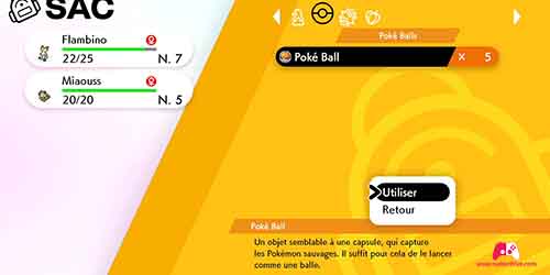 Utiliser une Poké Ball