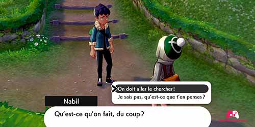 Choix de Nabil