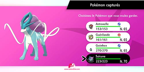 Garder Suicune