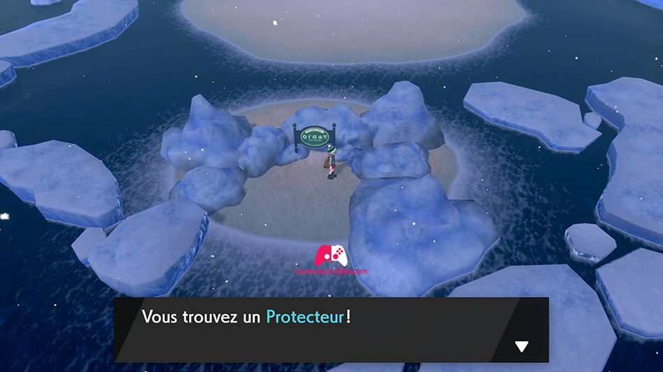 Obtenir le protecteur sur la route 9