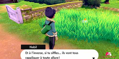 Conseils de Nabil