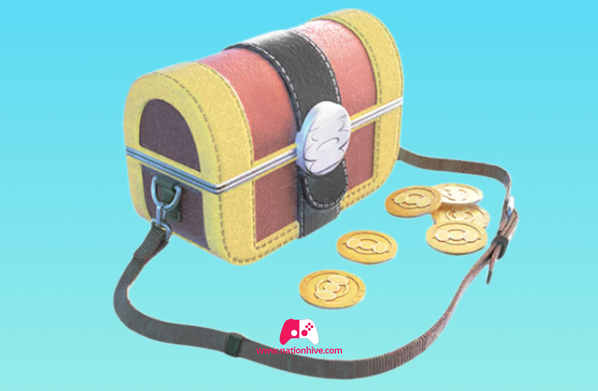 Coins Bag