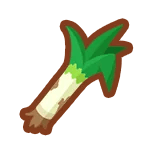 Large Leek