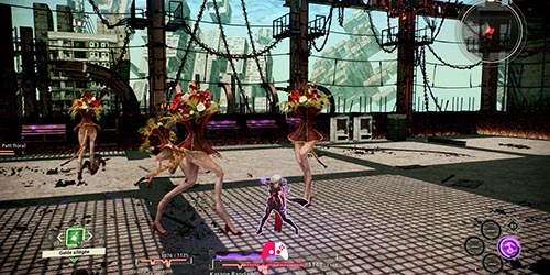 Combat