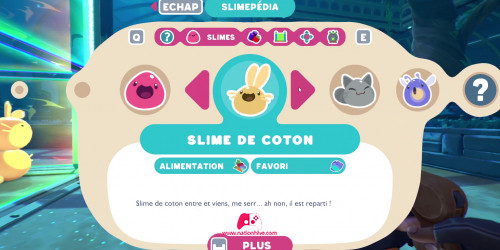 slime coton 3