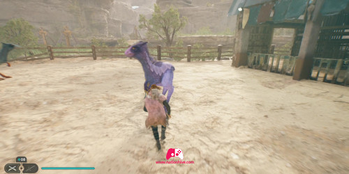 Nekko