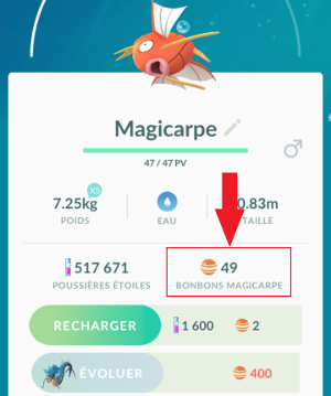 Bonbon Magicarpe