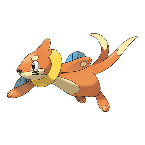 Buizel