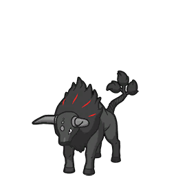 Tauros de Paldea  (Race Flamboyante)