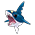 Sharpedo