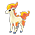 Ponyta