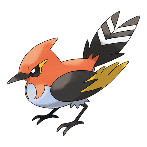 Pokémon :Braisillon  662 - Braisillon
