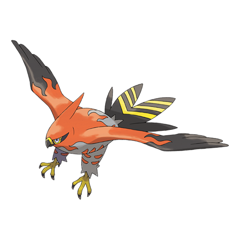 Pokémon : 663 - Flambusard 