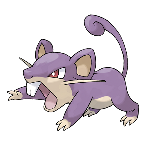 Pokémon : 019 - Rattata
