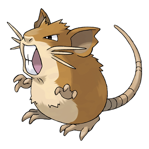 Pokémon : 020 - Rattatac