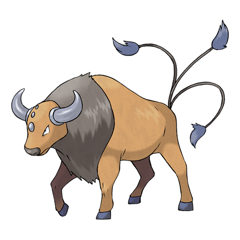 Pokémon : 128 - Tauros