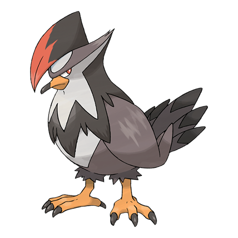Pokémon : 398 - Étouraptor