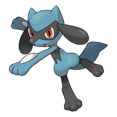 Pokémon : 447 - Riolu