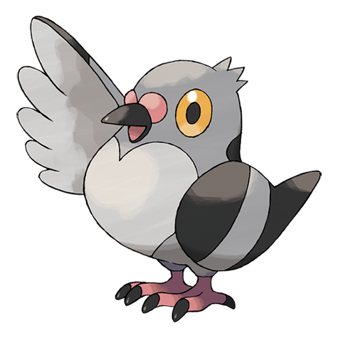 Pokémon : 519 - Poichigeon
