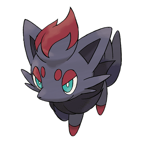 Pokémon : 570 - Zorua