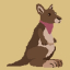 Found Mackenzie the kangaroo.