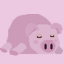 Found Puddle the pig.