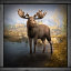 Chasseur d'orignal