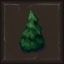 Déforestation