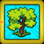 Flourishing Forest