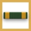 Navy and Marine Corps Achievement Medal