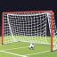 Scored a Goal