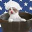 A Kitten in Every Pot